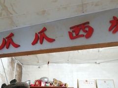 -爪爪西施