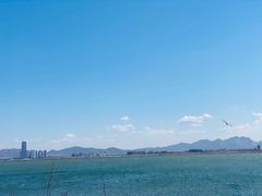 -养马岛旅游度假区