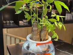 -同仁四季椰子鸡(海岸城天利店)