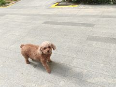 -京都老蔡记(伊河路店)