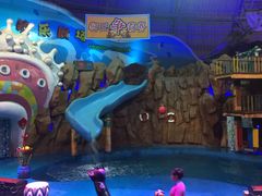 -烟台海昌鲸鲨海洋公园