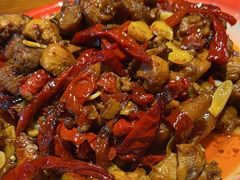 -柴窝堡22号辣子鸡·传承新疆菜