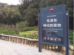 -延安杨家岭革命旧址