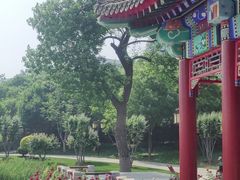 -西海子公园