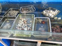 -海帮主·蒸汽海鲜青岛菜(栈桥火车站店)