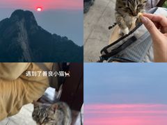 -洛阳白云山景区