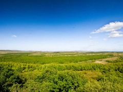 -塞罕坝国家级自然保护区