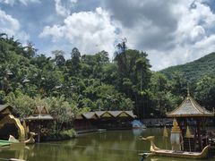 -西双版纳原始森林公园