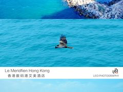 -香港数码港艾美酒店