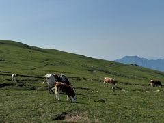 -灵山