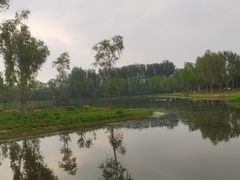 -东郊湿地公园