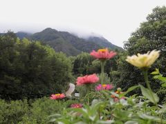-绩溪龙川景区