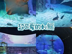 -沈阳海洋探索中心