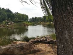 -莫子山公园