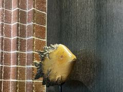 -永安鱼庄·镇江菜(东吴路店)