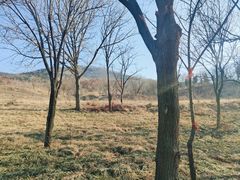 -雪山彩虹谷景区