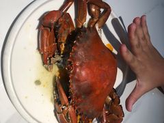 -琼大师东方烤乳猪(亚特兰蒂斯店)