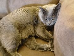 -Me Coffee下午茶艺术空间