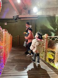 -恐龙探索乐园(磁器口店)