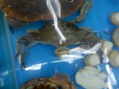 -日照大牌檔•小船海鲜(万平口店)