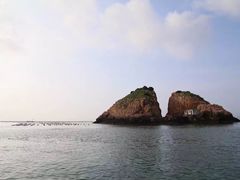 -枸杞岛