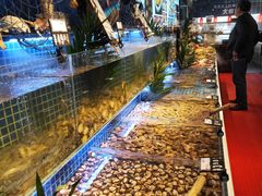 -必点海鲜·鲅鱼水饺(鞍山西道店)