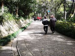 -杭州半山国家森林公园