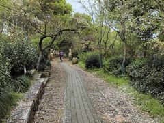 -东山风景区(洞庭东山)