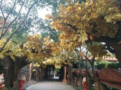 -横店影视城梦幻谷园区