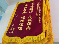 -纳吉亚猫专科动物医院·北北分院