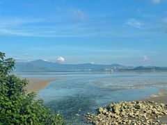 -深圳湾公园(南山区)