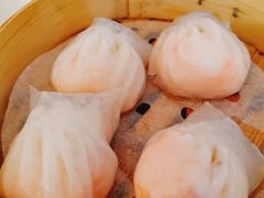 悦湖玉液虾饺皇-悦湖公馆