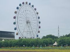 -百万葵园