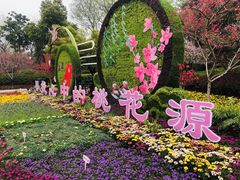 -圩墩遗址公园