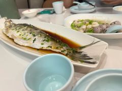 清蒸白丝鱼-玲珑阁昆山菜(锦溪店)