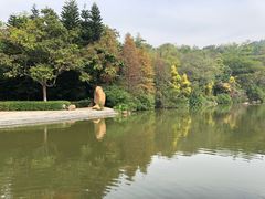 -云溪植物园