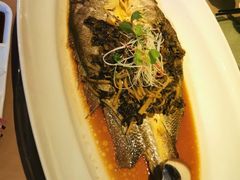 -夜上海(新天地店)