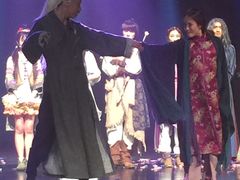 -合肥大剧院