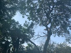 -雨花胜境