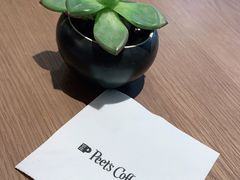 -Peet's Coffee皮爷咖啡(大学路店)