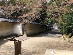 -醍醐寺