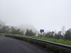 iphone_upload_pic-四明山国家森林公园