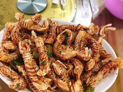 -七鲜渔港美食餐厅(巽寮湾海景店)
