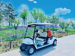 -汉长安城未央宫国家考古遗址公园