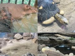 -太原动物园