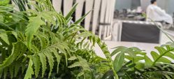 -简影造型·自选烫染接发salon