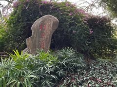 -仙岳公园