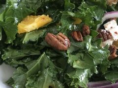 羽衣甘蓝-Green Option(官舍店)