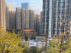 -贵阳中天凯悦酒店