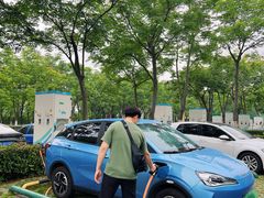 -合肥滨湖国家森林公园